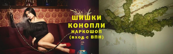 тгк Горнозаводск