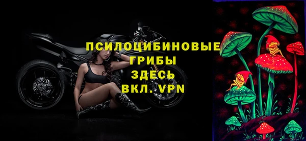 бутират Горняк