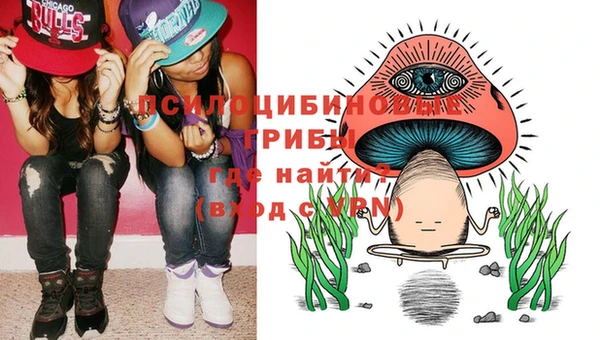 тгк Горнозаводск