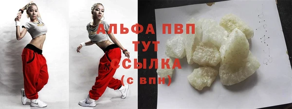 мдпв Гусь-Хрустальный