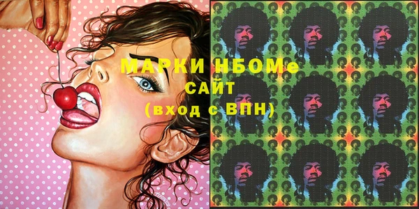 мдпв Гусь-Хрустальный